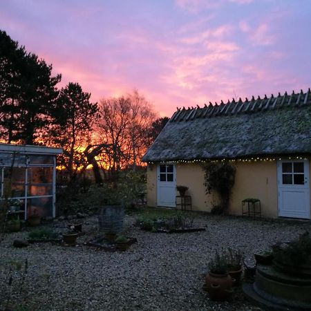 Bella Bed And Breakfast Stevns Arnoje 外观 照片