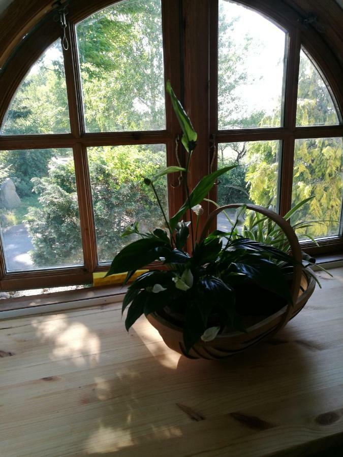Bella Bed And Breakfast Stevns Arnoje 外观 照片