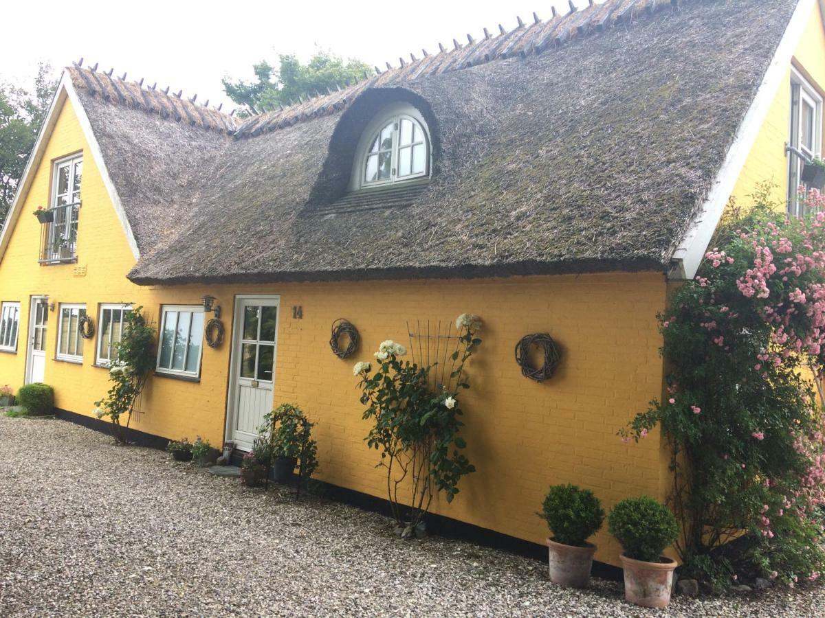 Bella Bed And Breakfast Stevns Arnoje 外观 照片